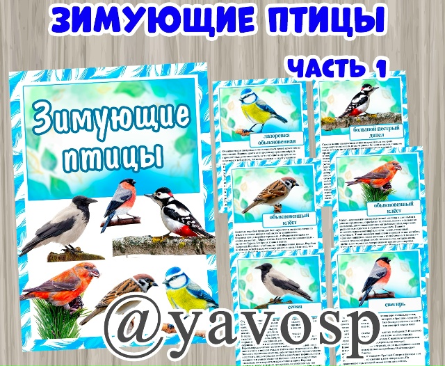 Картотека "Зимующие птицы".