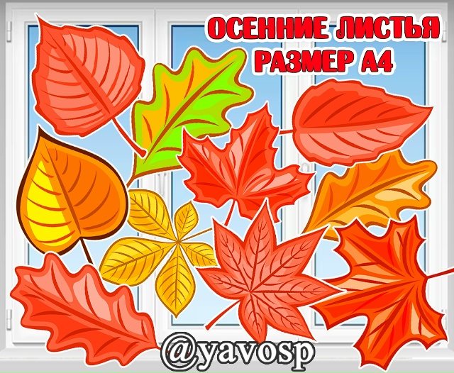 Двусторонние осенние листья