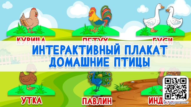 Интерактивный плакат "Птичий двор"