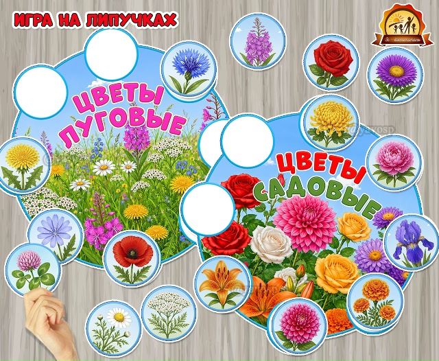 Игра на липучках «Цветы луговые и садовые»