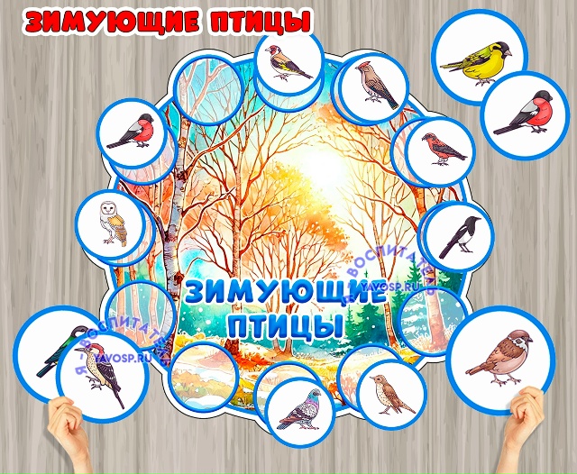 Игра на липучках "Зимующие птицы"