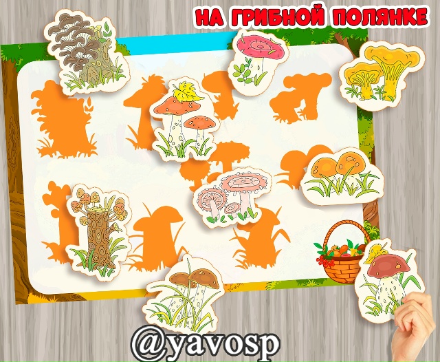 "На грибной полянке"