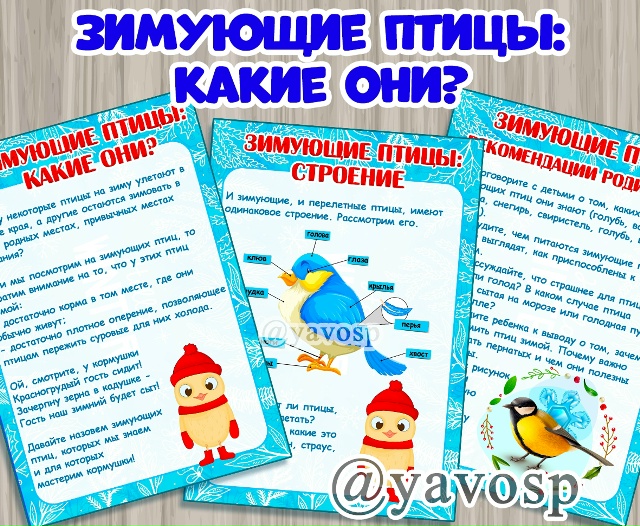 Зимующие птицы: какие они?
