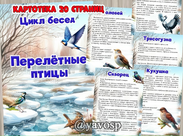 Цикл бесед о перелетных птицах