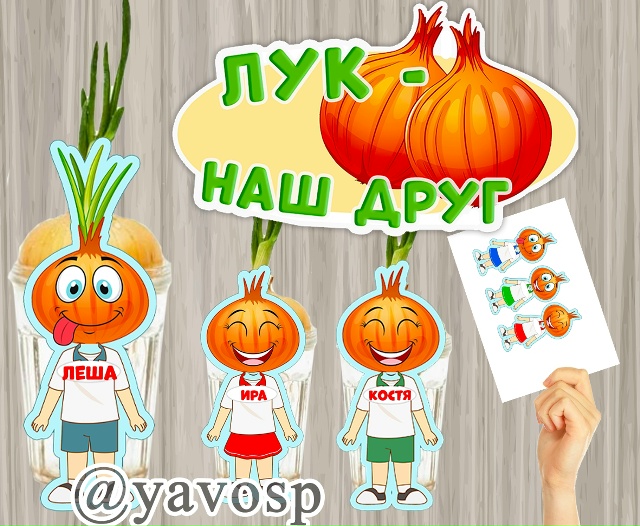 Лук - наш друг!