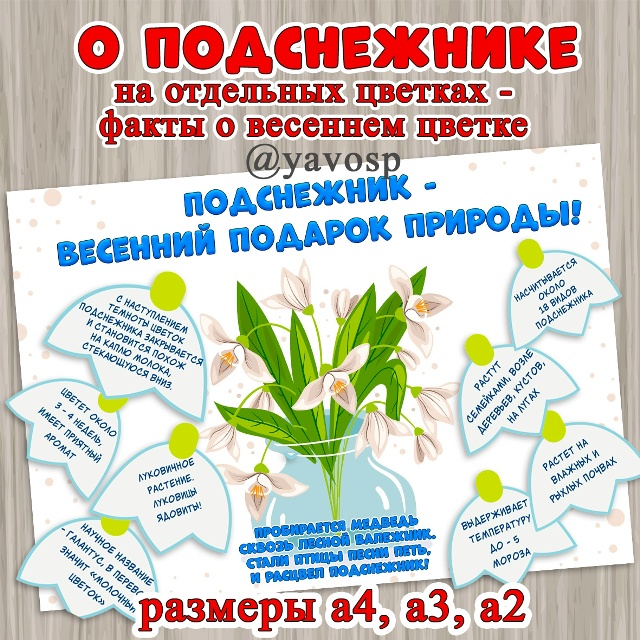 Готовимся говорить о подснежнике!