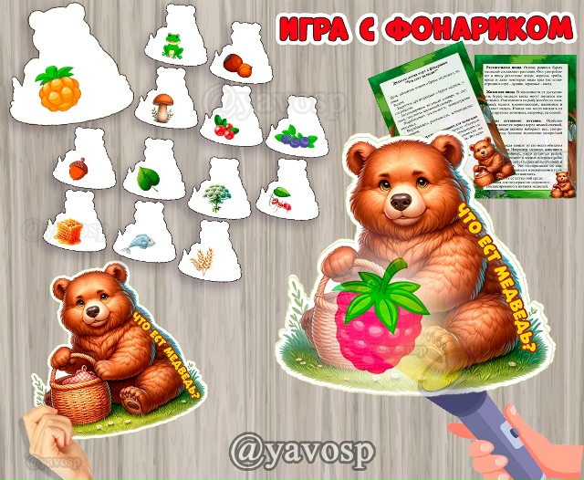 К 13 декабря - Дню Медведя: Что ест медведь?