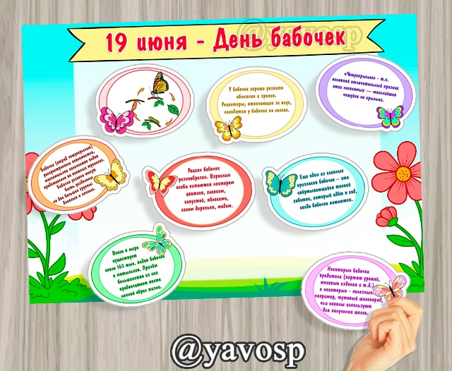 19 июня - День бабочек