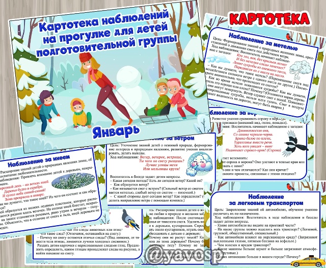 Картотека наблюдений в январе