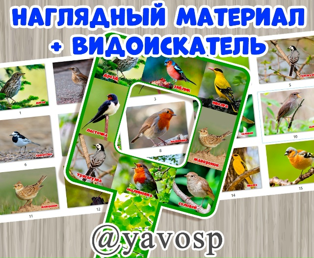 Наглядный материал + видоискатель