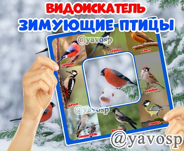 Видоискатель "Зимующие птицы"